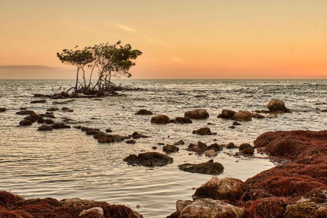 Isla Bella Beach Resort & Spa - Florida Keys Marathon Exterior foto